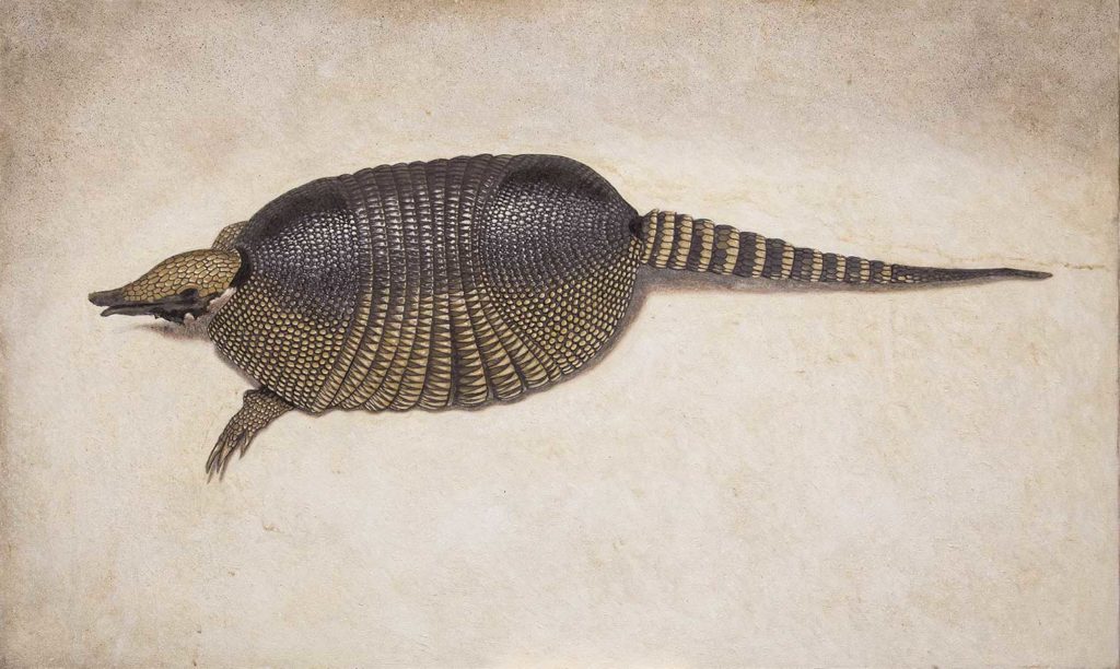 Armadillo di Camaldoli olio su tela, cm 60×100